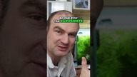 Jak małe akwarium stało się idealnym domem dla krewetek
