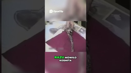 Tajemnica Aliochanki Niezwykłe Znalezisko z Rosji!