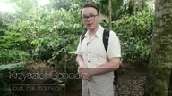 KOPI LUWAK KAWA NAJDROŻSZA NA ŚWIECIE