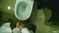Powrót do domu
