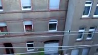 Ucieczka roku - wiewi&oacute;rka w akcji