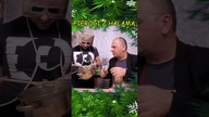 ŚWIĄTECZNE PIEROGI Z @HalamaGrzegorz #12