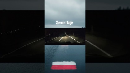 Nocny horror! Łoś na środku drogi, kierowca ratuje życie w sekundę! #auto #noc #polscykierowcy