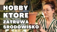 Uprawa roślin domowych zatruwa środowisko? Czy rośliny domowe są nieekologiczne?