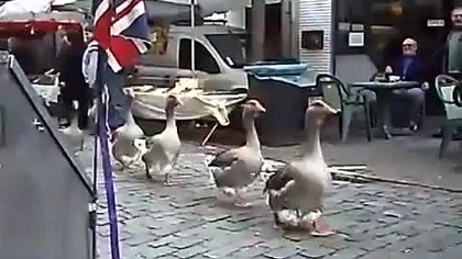 Parada