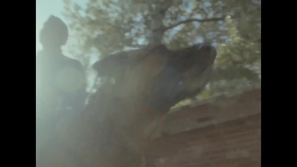 Triumf serca (2025) | ZWIASTUN