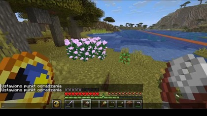 This cannot be done naturally in the savannah #minecraft #gaming #game #Bees #Short #Shorts