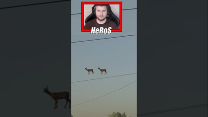 ALE DZIWNE WRONY  #farming