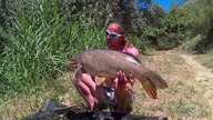 Rio Ebro Mequinenza - BIG Carp / Knittels Ebro Angelcamp /