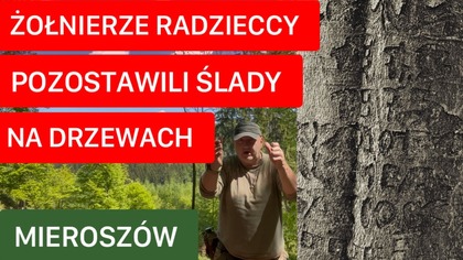MIEROSZÓW- NAPISY NA DRZEWACH RADZIECKICH ŻOŁNIERZY