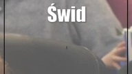 Świdnik: Bajkowa niedziela