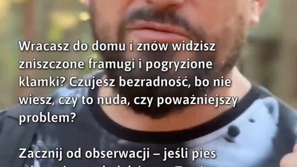 Zaniedbania pupila? Sprawdź przyczyny!  
#ChwilaDlaPsów #LękSeparacyjny #ZachowaniePsa