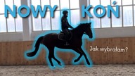 JAK KUPIŁAM NOWEGO KONIA?! *testuję konie*