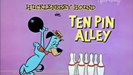 Pies Huckleberry 24 Huckleberry Mistrz