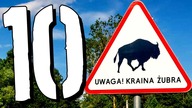 10 faktów o PODLASIU [TOPOWA DYCHA]