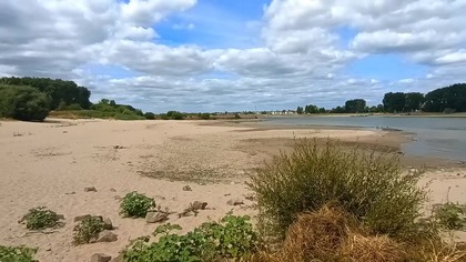 Bardzo ładna plaża piaszczysta nad Renem - Gracjan Roztocki