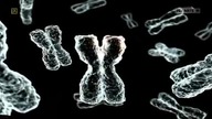 DNA - Klucz do dziej&oacute;w ludzkości (dokument) Lektor