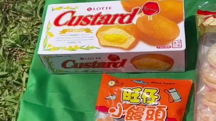 Piknik - Taiwan (May 2025)