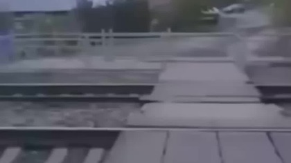 Nie zesraj się level HARD