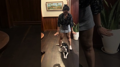 Shorts vs shorts