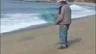 Mistrz Surfingu