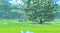 Shiny znaleziony w pokemon go i to jaki