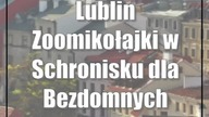 Lublin: Zoomikołajki w Schronisku dla Bezdomnych Zwierząt w Lublinie
