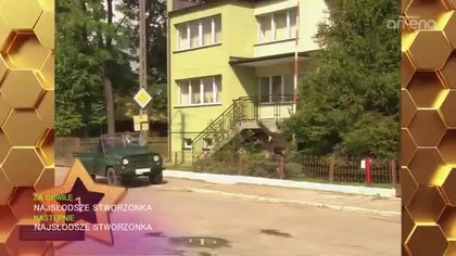 Główny kanał:
https://youtube.com/@pitrecpl
Główny kanał z nagraniami: 
https://youtube.com/@pitrecn

Dodatkowe nagrania: 
https://www.cda.pl/PitREC_1
https://odysee.com/@PitREC:c
https://www.dailymotion.com/PitREC
https://www.chomikuj.pl/PitREC
https://www.cda.pl/PitREC_Bonus/